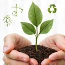 Sostenibilidad y Responsabilidad Ambiental